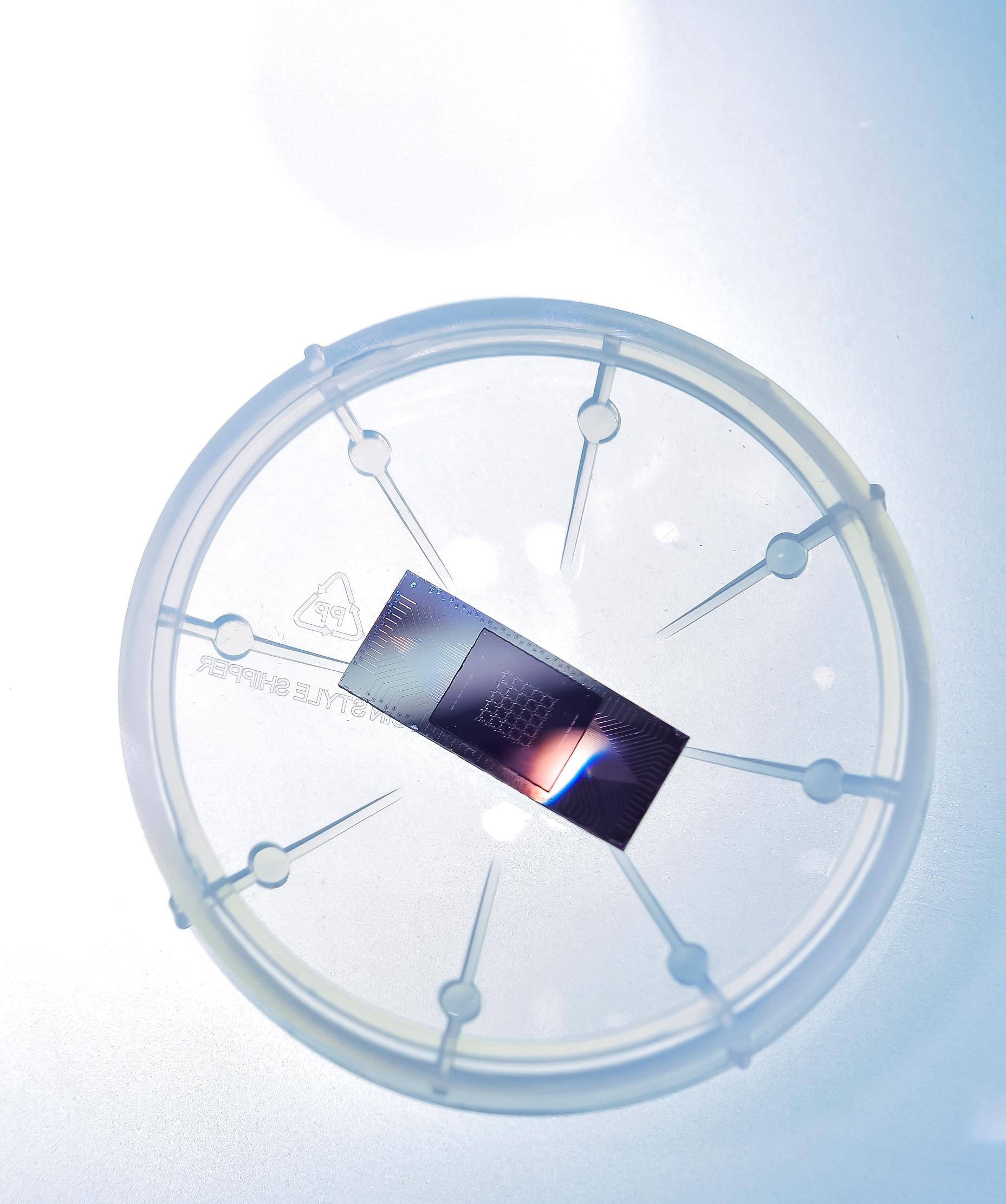 中国光量子芯片重大突破,引领未来信息技术的革命性进展,中国光量子芯片重大突破,引领信息技术革命新篇章