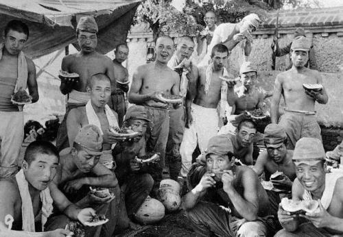 军迷论坛软件,连接军事爱好者的桥梁,军迷论坛软件,军事爱好者的桥梁与纽带