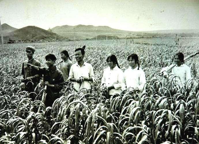 缅甸军方最新征兵动态及其影响，缅甸军方最新征兵动态及其社会影响分析