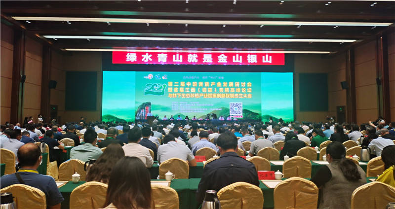 中国发展网官网首页，展现中国发展的窗口，中国发展网官网首页，中国发展的窗口平台