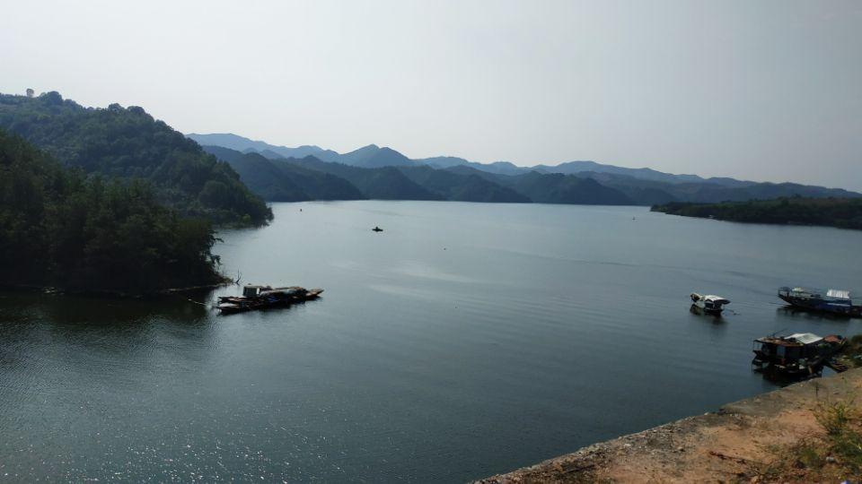 天涯论坛官网登录，探索网络言论的广阔天地，天涯论坛官网登录，探索网络言论的自由天地