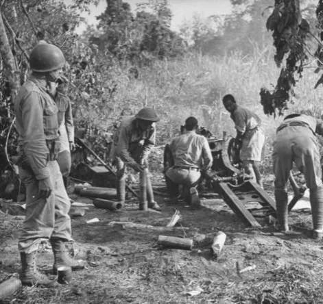 缅甸远征军历史简介，缅甸远征军历史概述