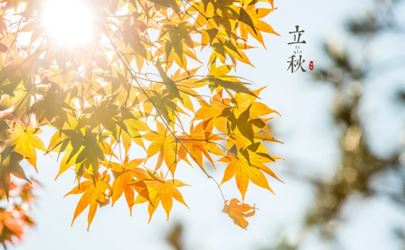 立秋时刻，探寻秋天的脚步——2022年立秋时间解析，2022年立秋时刻的脚步，探寻秋天的来临与解析立秋时间