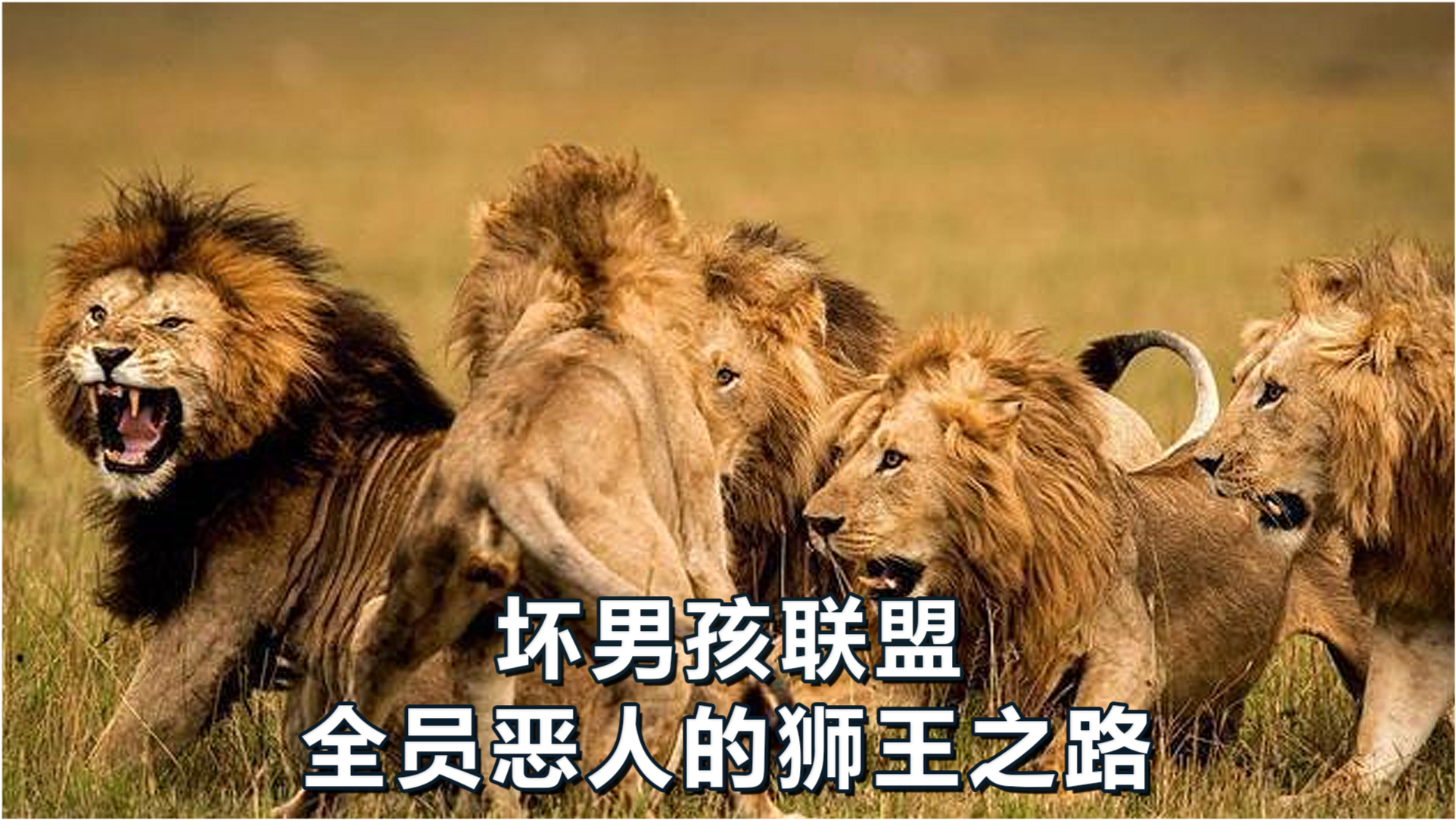 四不像必中一肖王中王——探寻神秘文化符号背后的故事，探寻神秘文化符号背后的故事，四不像必中一肖王中王揭秘