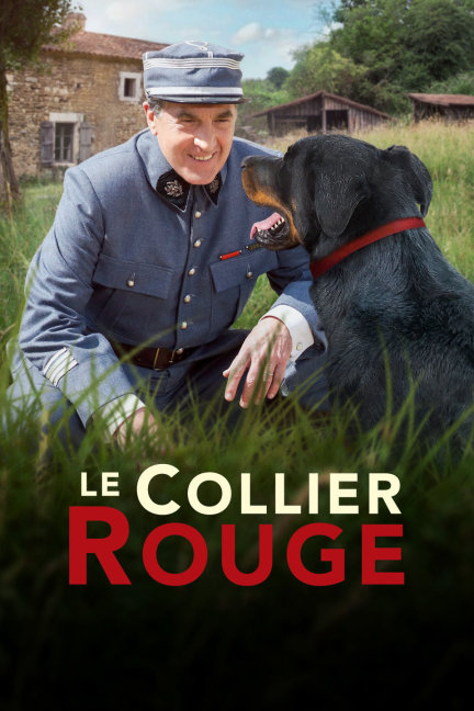 四不像必中一肖王中王——探寻神秘文化符号背后的故事,探寻神秘文化符号背后的故事,四不像必中一肖王中王揭秘