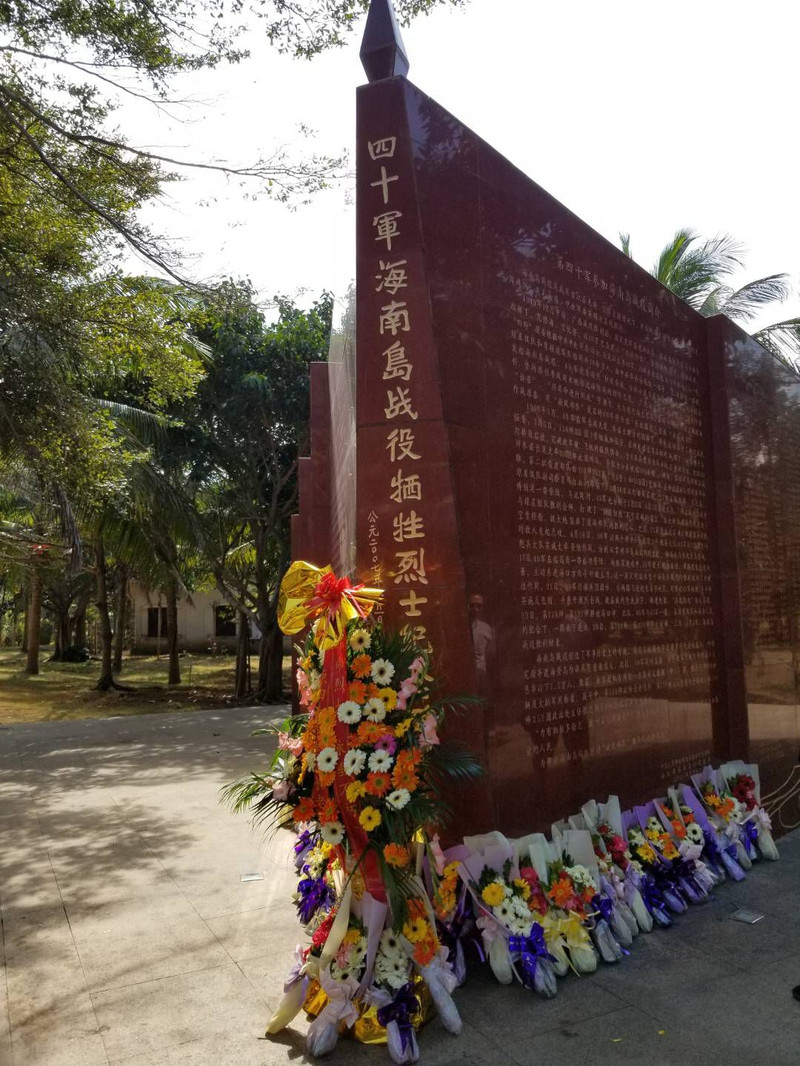 临高角战役简介，临高角战役，历史背景下的战略交锋简介