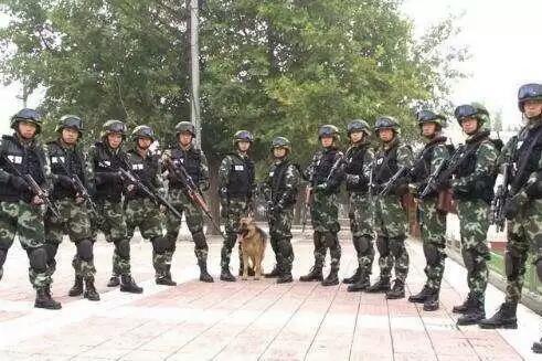 中国人民武装部队警察部队内卫，守护国家安全与稳定的坚强力量，中国人民武装部队警察部队内卫，国家安全与稳定的守护者