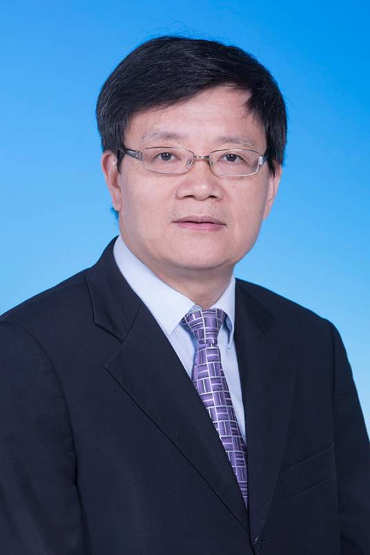 李亚强军事专家，卓越的专业背景与丰富的军事经验，李亚强军事专家，专业背景深厚 军事经验卓越