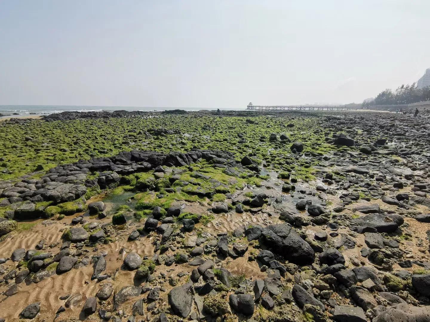 海南岛解放之战,英勇无畏的解放者们,海南岛解放之战,英勇无畏的解放勇士们的胜利之路