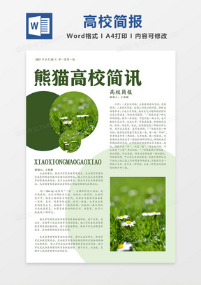 简报模板，高效信息传达的利器，简报模板，高效信息传达必备利器