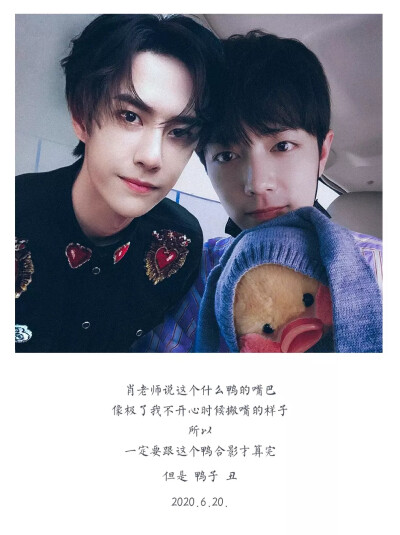 王中王与肖中特，精准预测的稳定力量，王中王与肖中特，精准预测的稳定力量揭秘