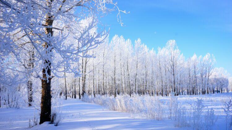 最美十大女仪仗兵,巾帼英雄的荣耀与风采,最美十大女仪仗兵,巾帼英雄的荣耀与风采展示