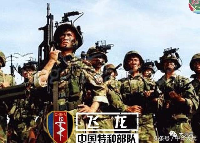 中国特种部队排名第八，荣耀与挑战并存，中国特种部队排名第八，荣耀与挑战的并存之路