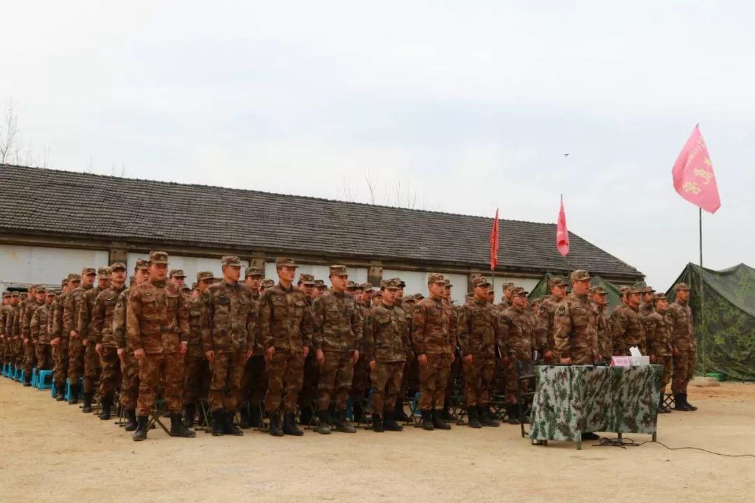 原21集团军，历史沿革与现今发展路径，原21集团军历史沿革与现今发展轨迹揭秘