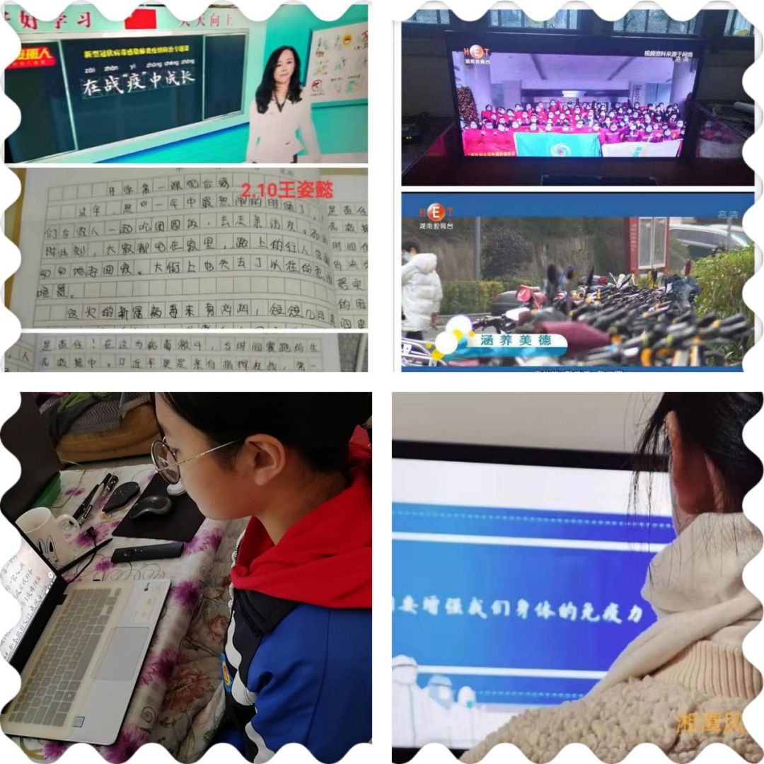 国防网站的深度洞察，国家安全与数字化时代的融合，国防网站深度洞察，国家安全与数字化时代的紧密融合