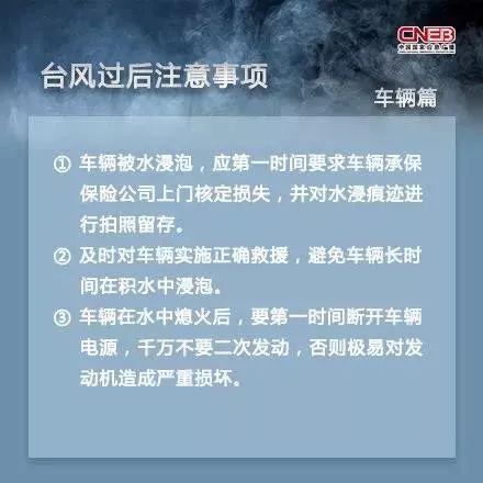 中华人民共和国应急管理，构建安全稳定的基石，中华人民共和国应急管理，筑牢安全稳定基石