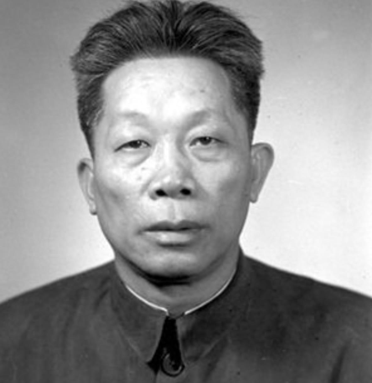 海南岛战役，我军历史上规模最大的渡海登陆作战，海南岛战役，我军史上最大渡海登陆作战揭秘