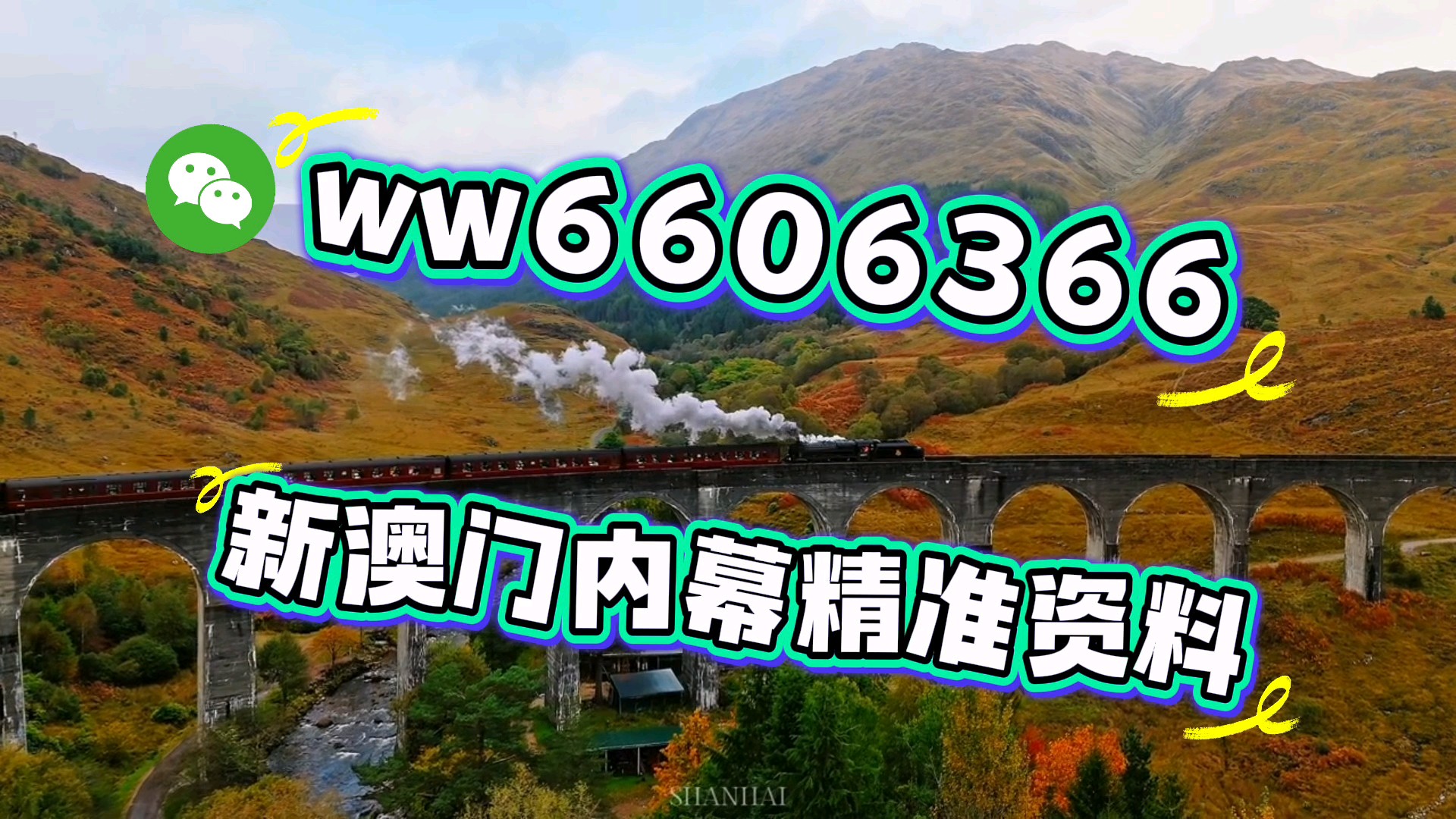 澳门四肖八期期准免费——揭秘彩票背后的秘密，澳门四肖八期期精准预测揭秘彩票背后的秘密