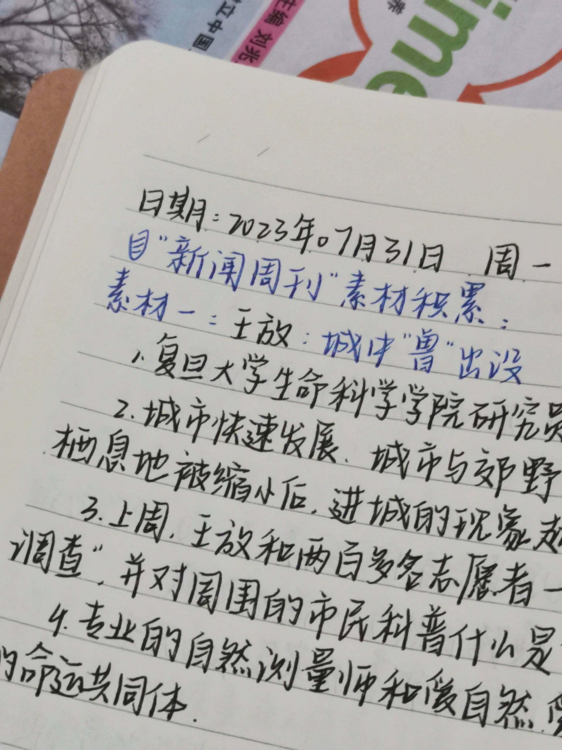 今日新闻摘抄十条（7月版），今日新闻精选，7月版十大要闻摘要