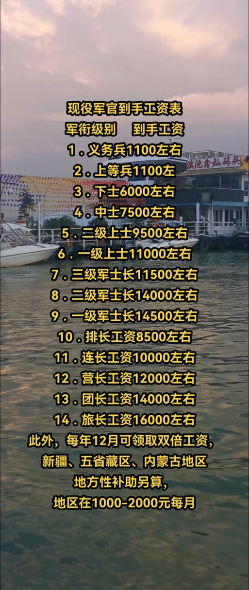 现役上将的待遇，荣誉与责任的体现，现役上将的待遇荣誉与责任体现解析