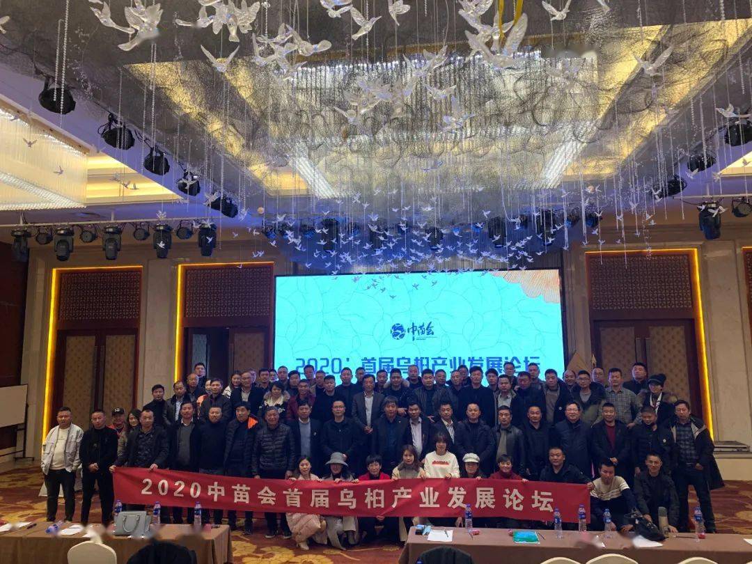 中华媒鸟技术交流论坛，探索前沿技术，共筑未来之梦，中华媒鸟技术交流论坛，探索前沿技术，共筑梦想未来