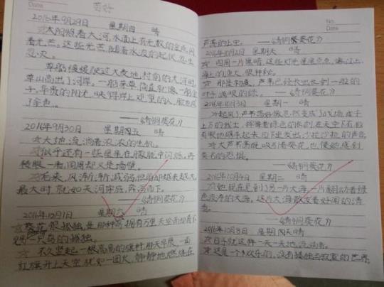 小学生新闻摘抄的重要性及其价值，一则新闻摘抄的启示，小学生新闻摘抄的重要性与启示，一则新闻的价值体现