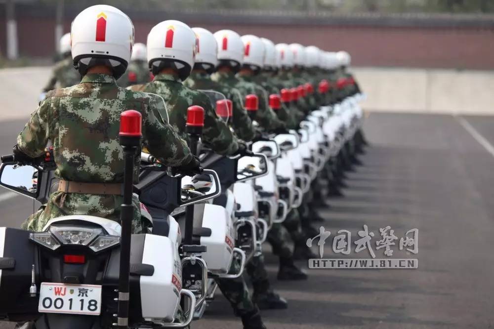 国宾护卫队护送外国领导视频，荣耀与责任的体现，国宾护卫队，荣耀与责任的体现——外国领导护送视频
