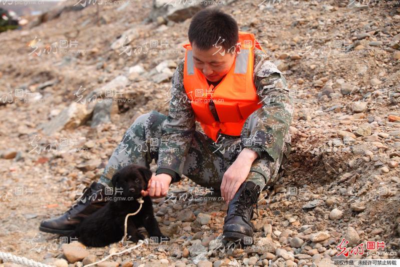 边防兵都是自愿去的吗，探究边防军人的职业选择与使命感，边防军人的职业选择与使命感，边防兵是否都是自愿前往？