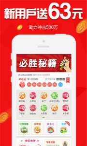 王中王欲钱买一肖，探寻背后的故事与意义，王中王欲钱买一肖，背后的故事与寓意探究