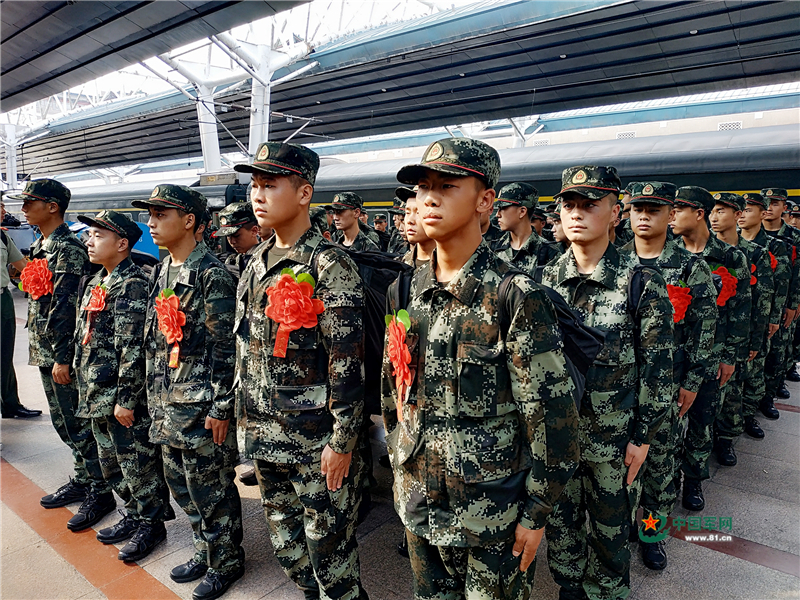 广东新兵杀班长事件，深度探究与反思，广东新兵杀害班长事件，深度探究背后的原因与反思