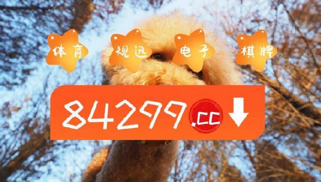今期必中一肖一码白小姐，揭秘彩票背后的神秘力量与策略分析，揭秘彩票背后的神秘力量与策略分析，白小姐一肖一码能否助您中奖？