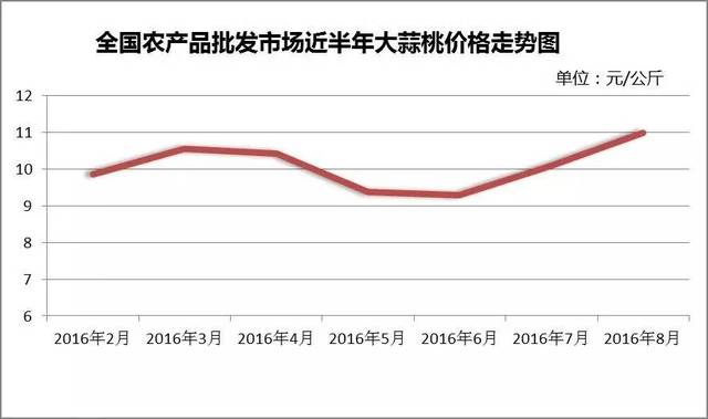 今天国际大蒜官网价格，市场走势与影响因素分析，今日国际大蒜官网价格走势及分析，市场动向与影响因素探讨