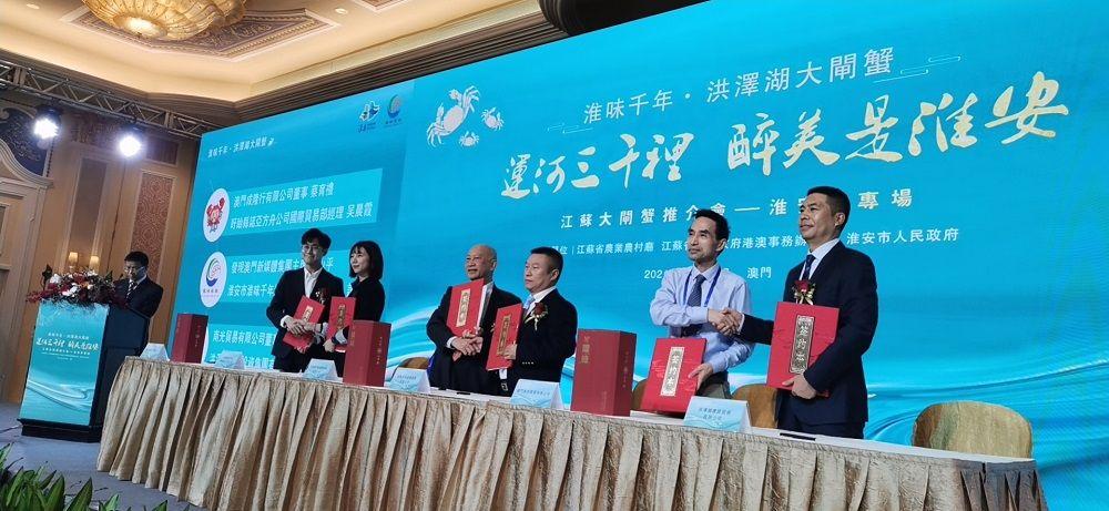 澳门一一码一特一中奖号码预测，探索彩票背后的秘密与策略，澳门一一码中奖号码预测探索与彩票策略揭秘