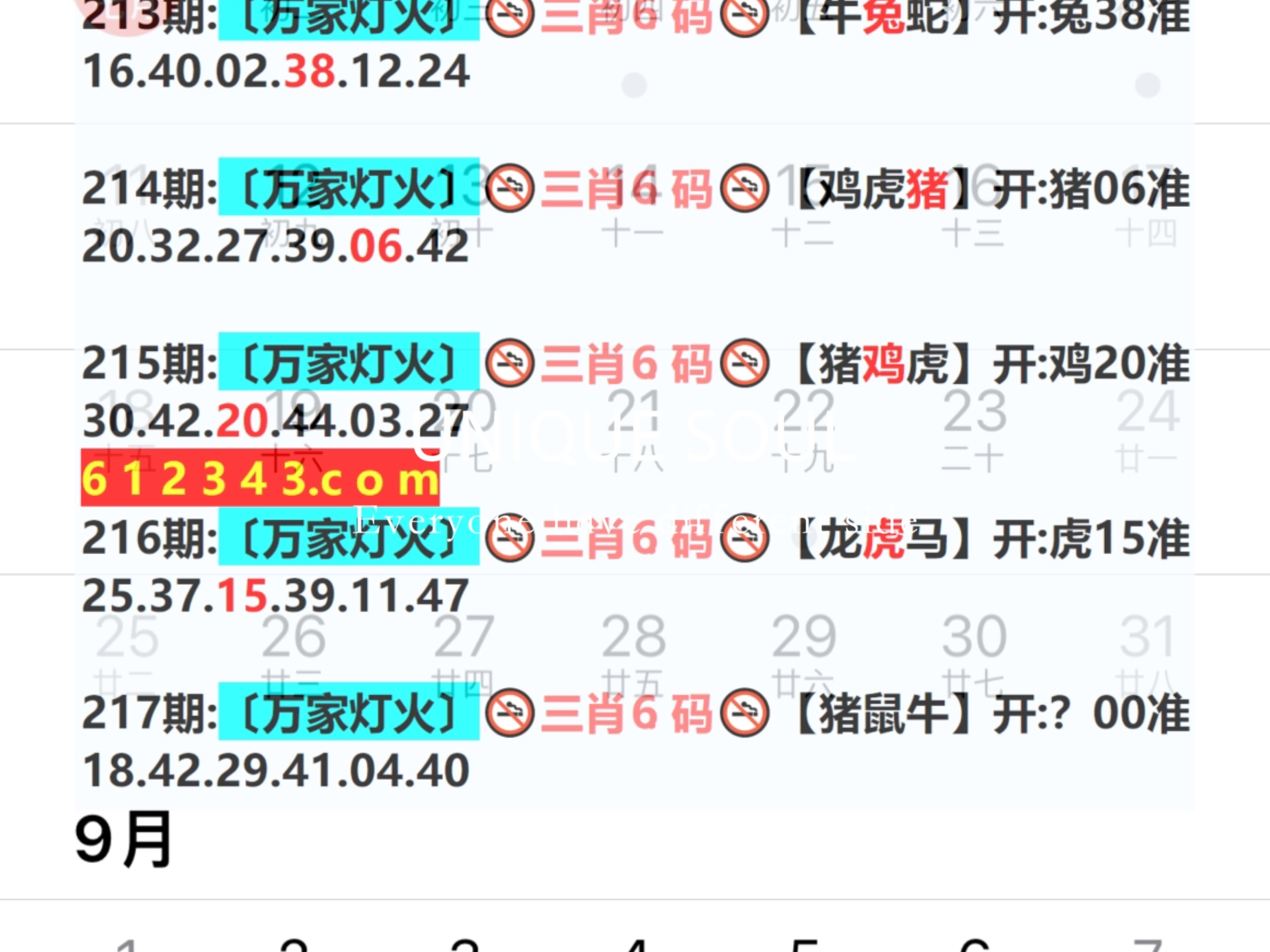 新奥今晚预测一肖一特——揭秘未来运势之神秘面纱，新奥今晚预测一肖一特，揭开未来运势的神秘面纱
