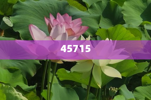 探索未来，揭秘2025新澳天天精准大全的谜语世界，揭秘未来，探索新澳天天精准大全的谜语世界 2025展望