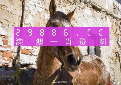 王中王四肖选一码首页，探索奥秘与预测的魅力，王中王四肖选一码首页，奥秘探索与精准预测的魅力