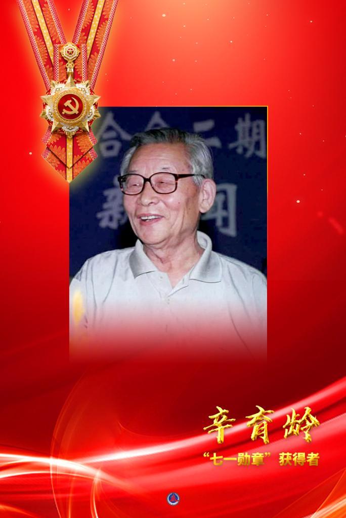 委内瑞拉猎人勋章获得者，荣耀与使命的见证，委内瑞拉猎人勋章，荣耀与使命的见证者