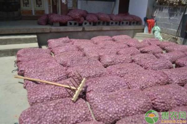 今天国际大蒜价钱及其影响因素,今日国际大蒜价格走势与影响因素分析