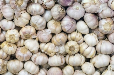 今天国际大蒜价钱及其影响因素,今日国际大蒜价格走势与影响因素分析