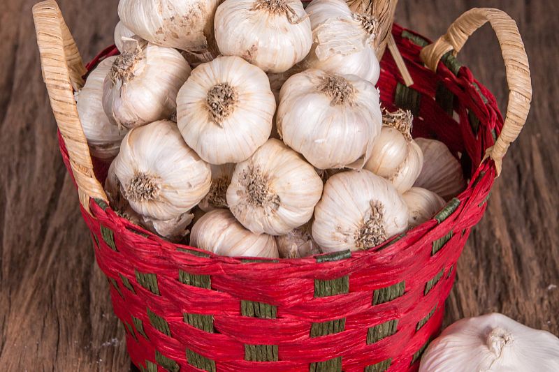 今天国际大蒜价钱及其影响因素,今日国际大蒜价格走势与影响因素分析