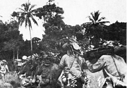 解放海南岛的历史篇章，一九五零年第四野战军的英勇壮举，解放海南岛，一九五零年第四野战军的英勇壮举历史篇章