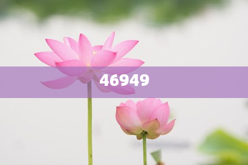 迈向知识共享的未来，2025年正版资料全年免费展望，迈向知识共享的未来，2025正版资料全年免费展望