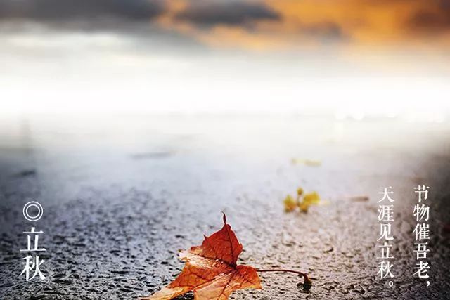 今日立秋,时光流转中的季节更迭,立秋时节,季节更迭的时光流转