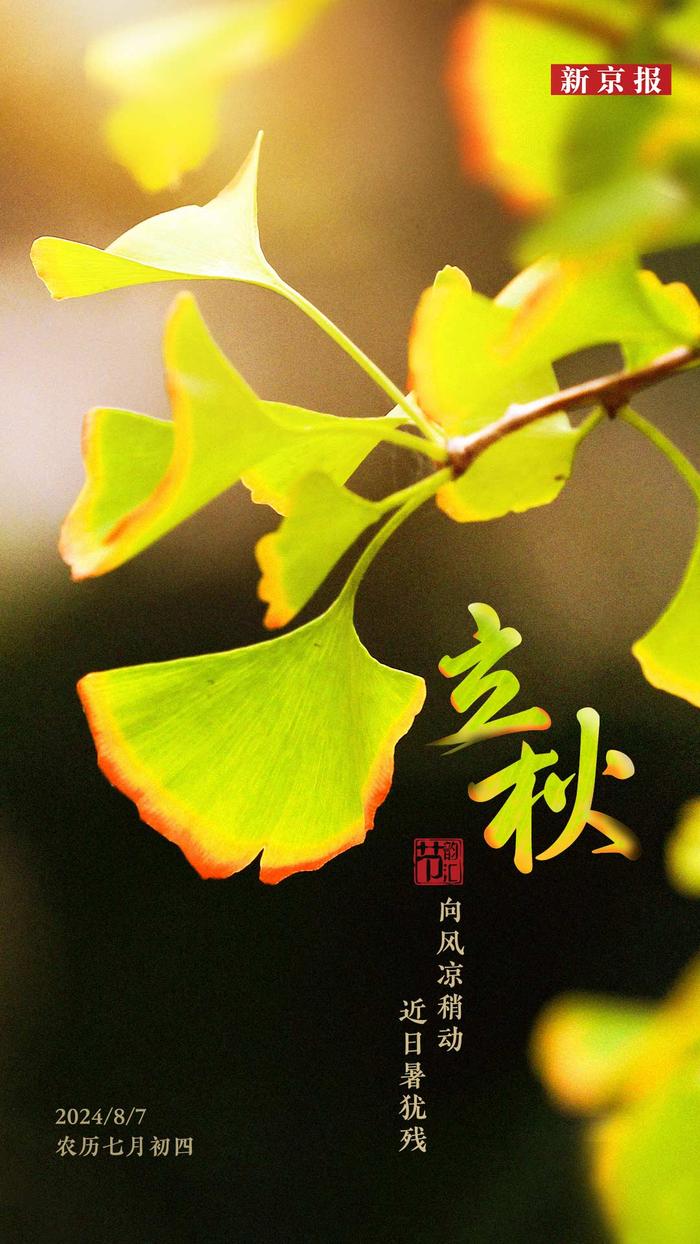 今日立秋,时光流转中的季节更迭,立秋时节,季节更迭的时光流转