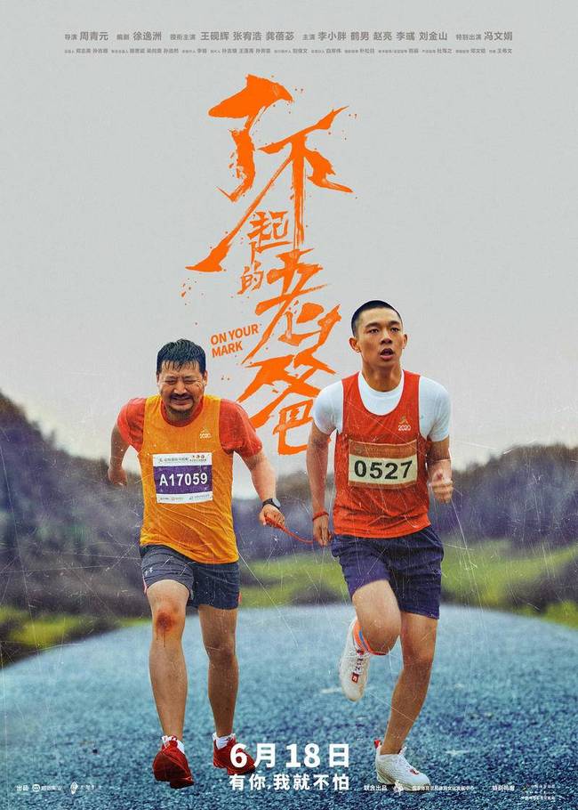 揭秘买二肖中的赔率与风险，揭秘买二肖中的赔率与风险，真相大揭秘