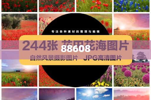 迈向信息公正之路，2025正版资料的免费公开，迈向信息公正之路，2025正版资料免费公开共享时代开启