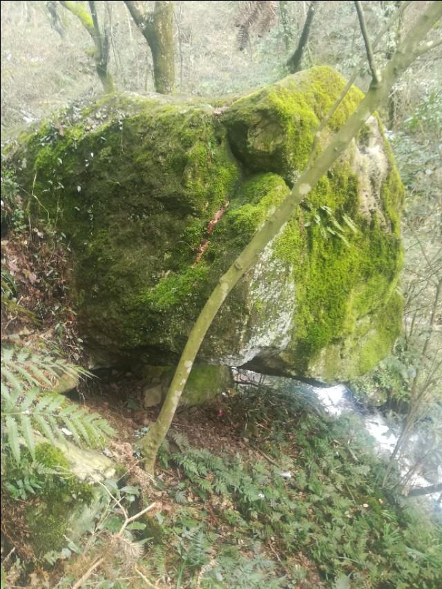 揭秘刘伯温正版四不像一肖图，神秘预测背后的故事，刘伯温正版四不像一肖图揭秘，神秘预测背后的传奇故事