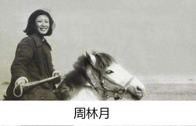 回望1979年参考消息报纸，历史变迁中的时代印记，回望1979年参考消息报纸，时代变迁的历史印记