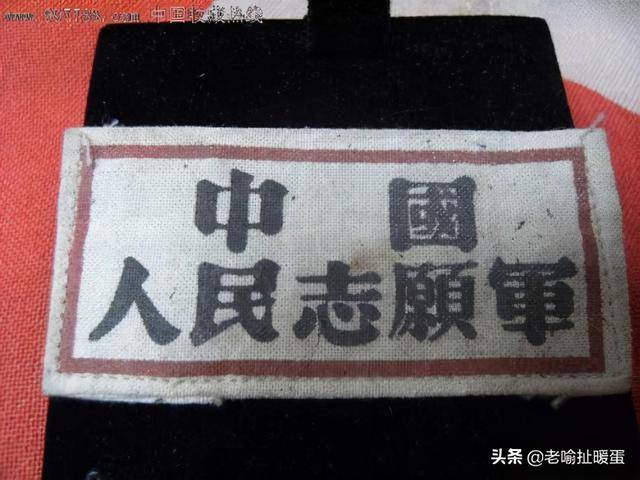 中国人民志愿军的别称，钢铁长城与和平卫士，中国人民志愿军，钢铁长城，和平卫士的别称