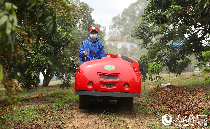 每期一肖一码中一,探索幸运的秘密,探索幸运的秘密,每期一肖一码中一
